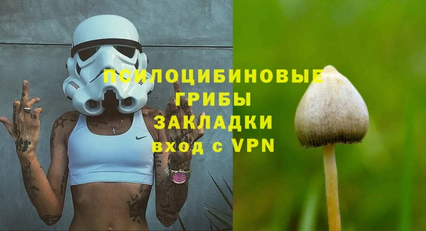 твердый Белокуриха